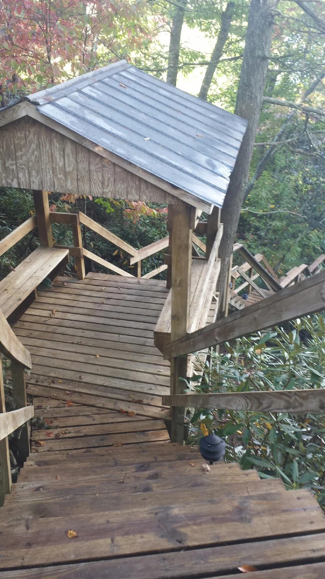 Metal roofed shelter over wooden steps on a wooded walkway — Skylight Repair & Installation work by our crew in Phil Campbell